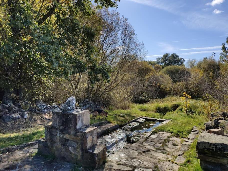Casa Rural Tozolosolobos Otero de Bodas Ngoại thất bức ảnh