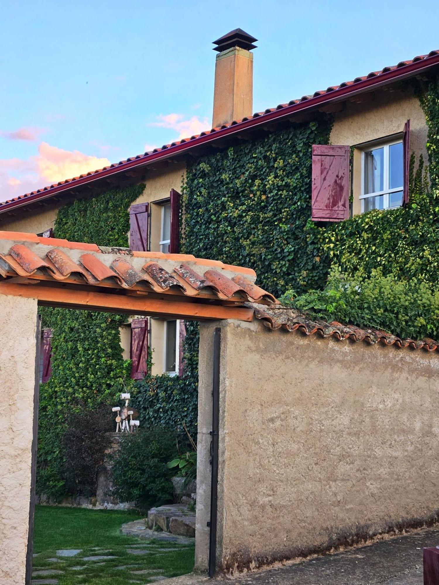 Casa Rural Tozolosolobos Otero de Bodas Ngoại thất bức ảnh